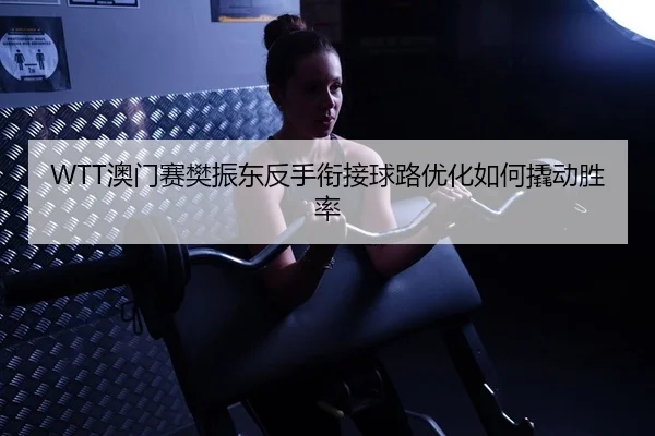 WTT澳门赛樊振东反手衔接球路优化如何撬动胜率